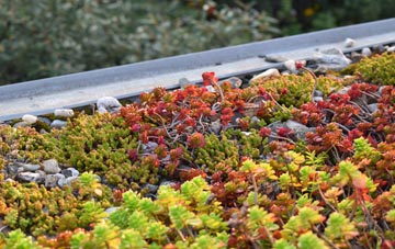 the cost of Dorridge green roof installation